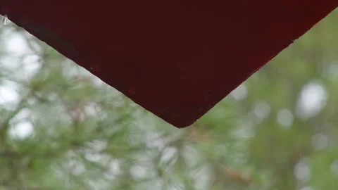 Raindrops keep falling Stock Footage 233122851