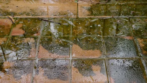 Raindrops keep falling Stock Footage 233123321