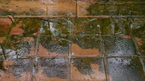 Raindrops keep falling Stock Footage 233264902