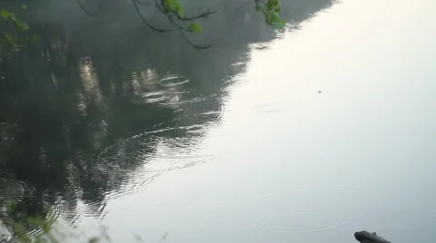Raindrops On Lake Stock Footage 47460874