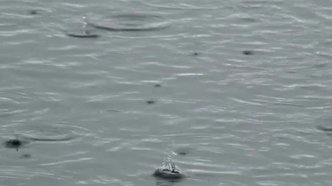 Raindrops in the lake Stock Footage 84967589