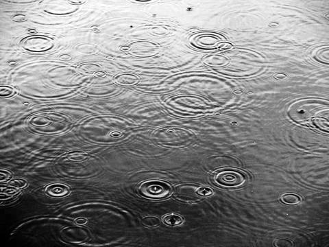 Raindrops on a Lake Stock Photos