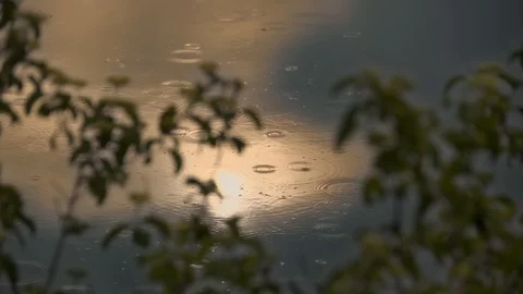 Raindrops in the lake at sunset Stock Footage 125938139