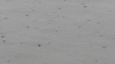 Raindrops on a lake surface Stock Footage 53241079