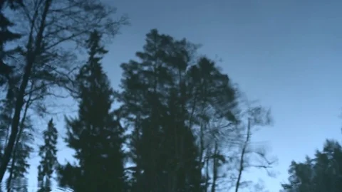 Raindrops on the lake's surface with reflection of a forest trees Stock-Footage 83240808