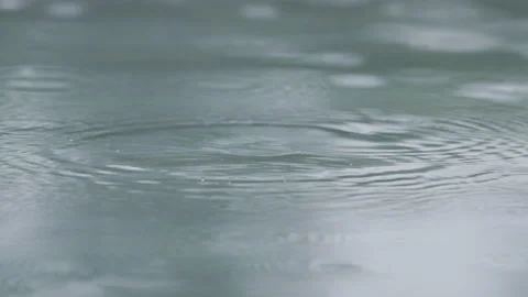 Raindrops land in slow motion Stock Footage 132168016