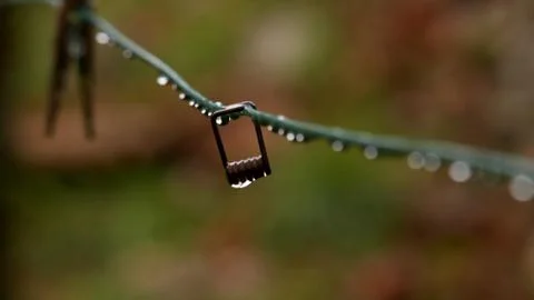 Raindrops on laundry line Stock Photos