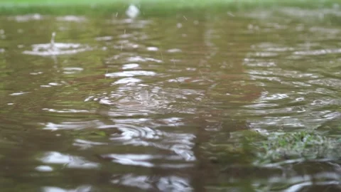 Raindrops on the lawn Stock Footage 263834580