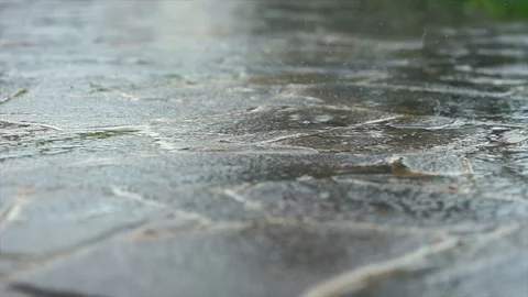 Raindrops macro footage Stock Footage 89038620