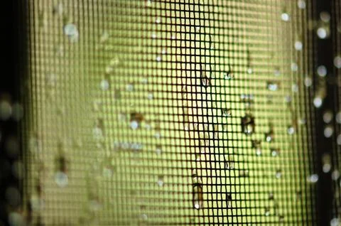 Raindrops macro Fotos de archivo