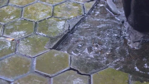 Raindrops That Make You Feel Comfortable Can Create Natural Beauty Stock Footage 239701704