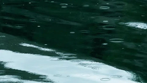 Raindrops mood with ripples on the water surface 스톡 동영상 259122030