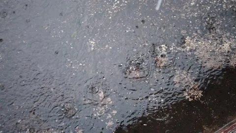 Raindrops In The Morning Stock Footage 244998898