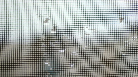 Raindrops on mosquito net.mosquito net Stock Footage 113282225