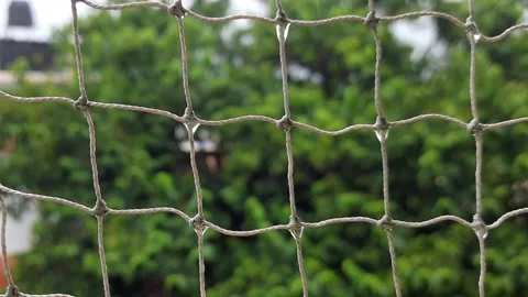 Raindrops Moving Across a Wind-Swaying Mesh Net Stock Footage 343541929