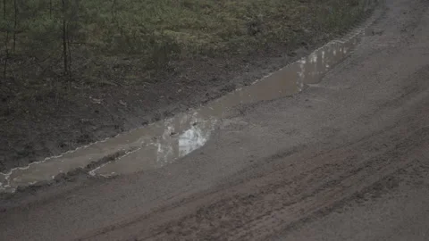 Raindrops in a muddy puddle in the woods, gray cloudy weather, wet mud, tire Video stock 165837527
