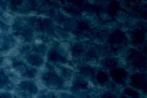 Raindrops NTSC Stock Footage 401561