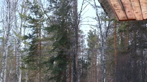 Raindrops or spring drops flow down from the roof Stock Footage 151164078