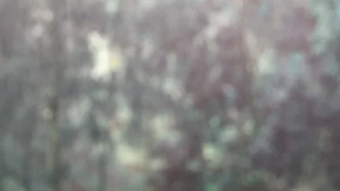 Raindrops out of focus . Summer rain. Heavy rain. Videophone . Nature. Stock Footage 150055644