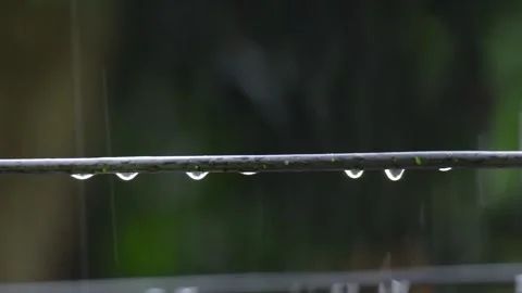 Raindrops on Outdoor Fiber Optic Cable Close-up. Stock Footage 331499999