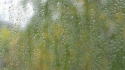 Raindrops outside on the window. Stock Footage 212631128