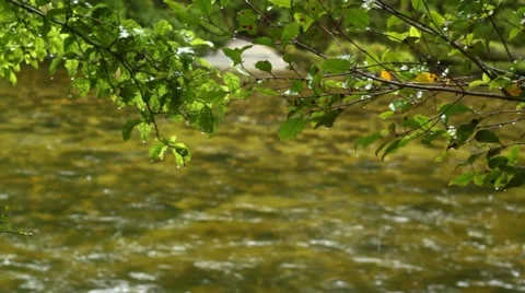 Raindrops over River Stock Footage 47435143