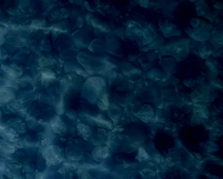 Raindrops PAL 스톡 동영상 401559