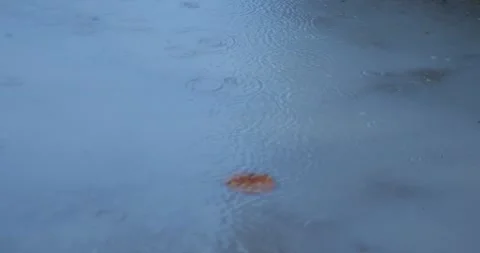 Raindrops On Pale Blue Water With Floating Brown Leaf... Video stock 332075523