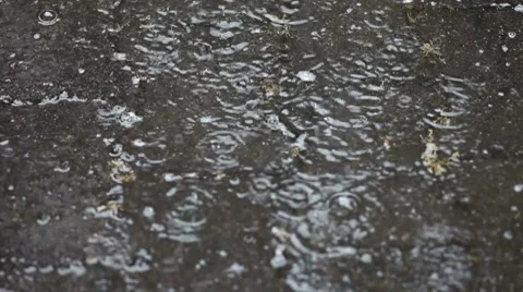 Raindrops on pavement Stock Footage 7134719