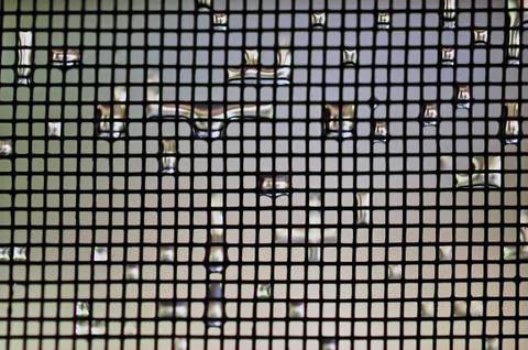 Raindrops 写真素材