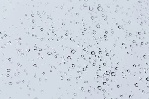 Raindrops Stock Photos