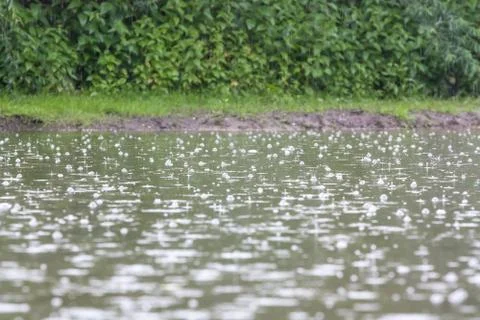 Raindrops Stock Photos