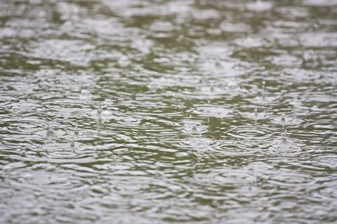 Raindrops Stock Photos