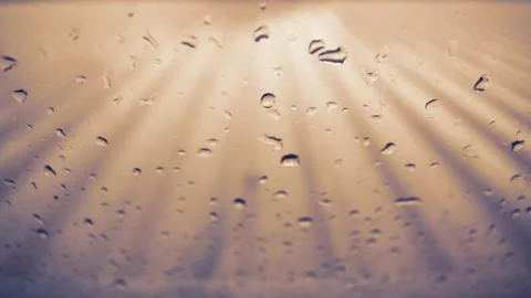 Raindrops Stock Photos