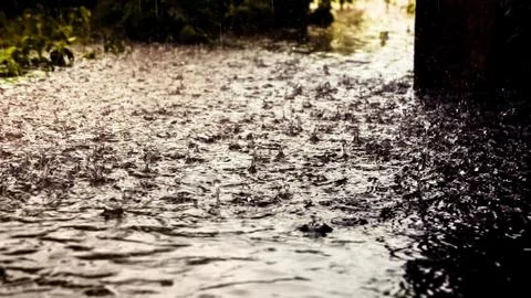 Raindrops. Stock Photos