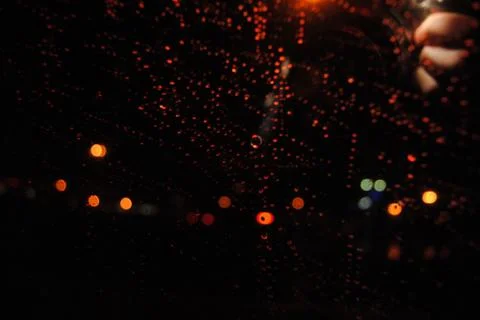 Raindrops Stock Photos