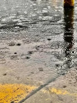 Raindrops Stock Photos