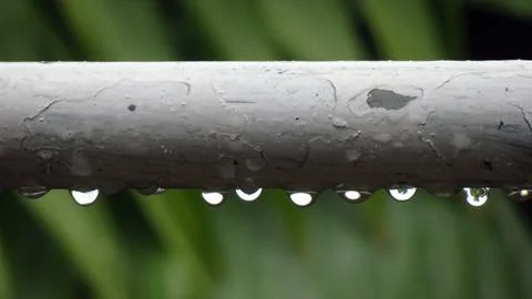 Raindrops Stock Photos