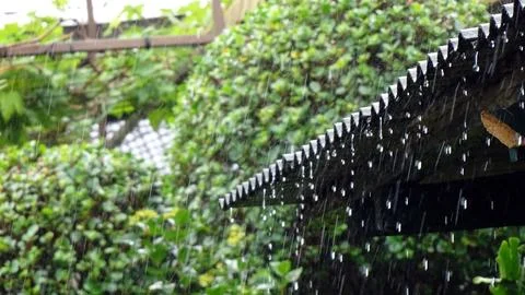 Raindrops Stock Photos