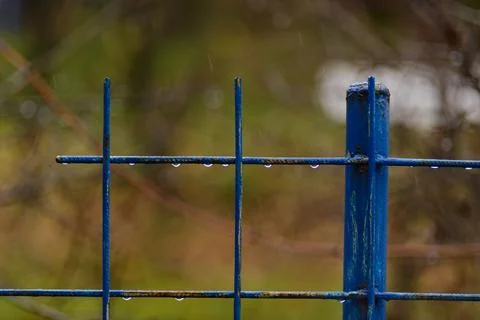 Raindrops Foto stock
