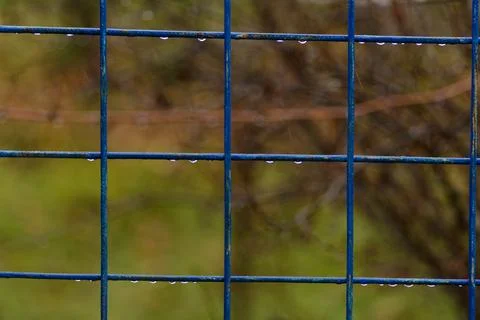 Raindrops Foto stock