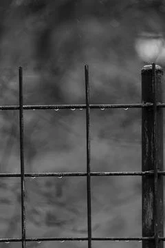 Raindrops Foto stock