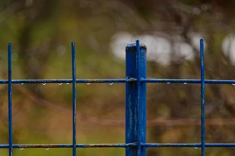 Raindrops Foto stock