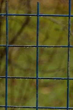 Raindrops Foto stock