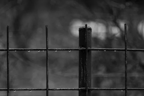 Raindrops Foto stock