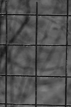 Raindrops Foto stock