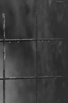 Raindrops Foto stock