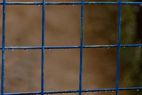 Raindrops Foto stock