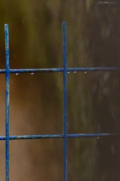 Raindrops Foto stock