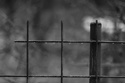 Raindrops Foto stock